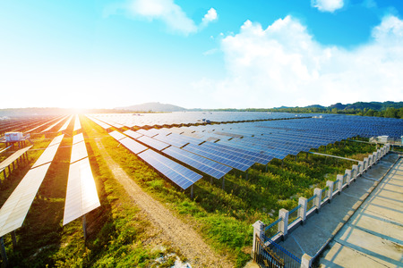 Solar panels in a field