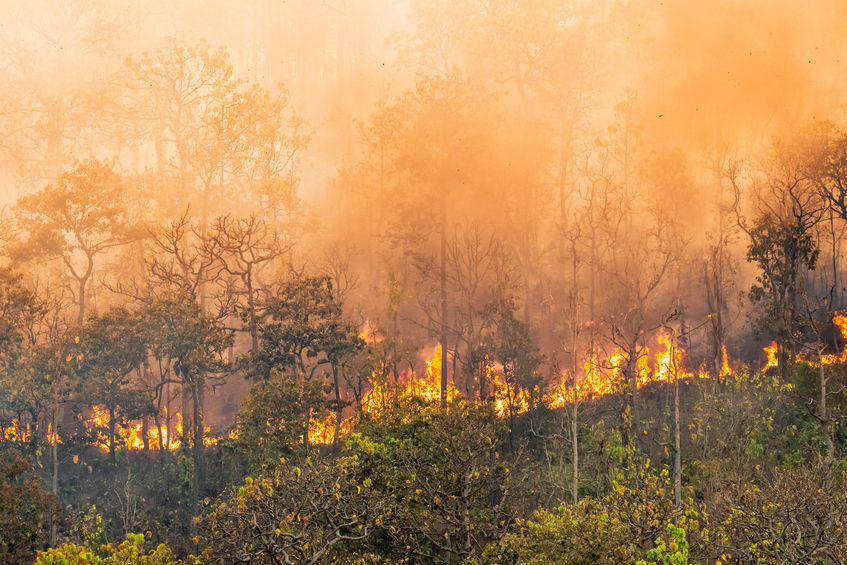 California wildfires ruining homes